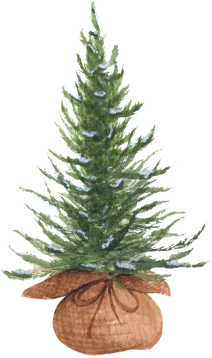Watercolor illustration of a small Christmas tree in a burlap-wrapped pot