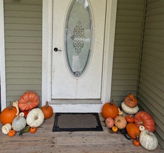 Small porch with a white door, pumpkins and gourds arranged on the deck