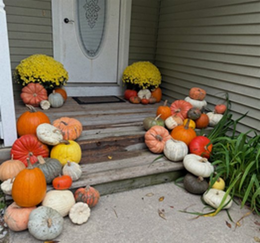Porch steps lined with mums, pumpkins and gourds