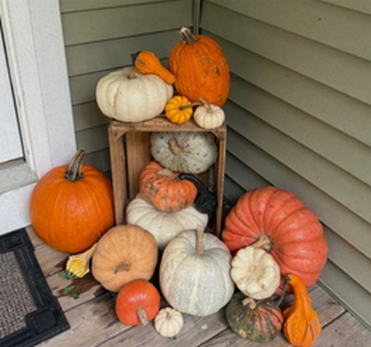 Pile of orange, white and blue-green pumpkins and gourds on a porch